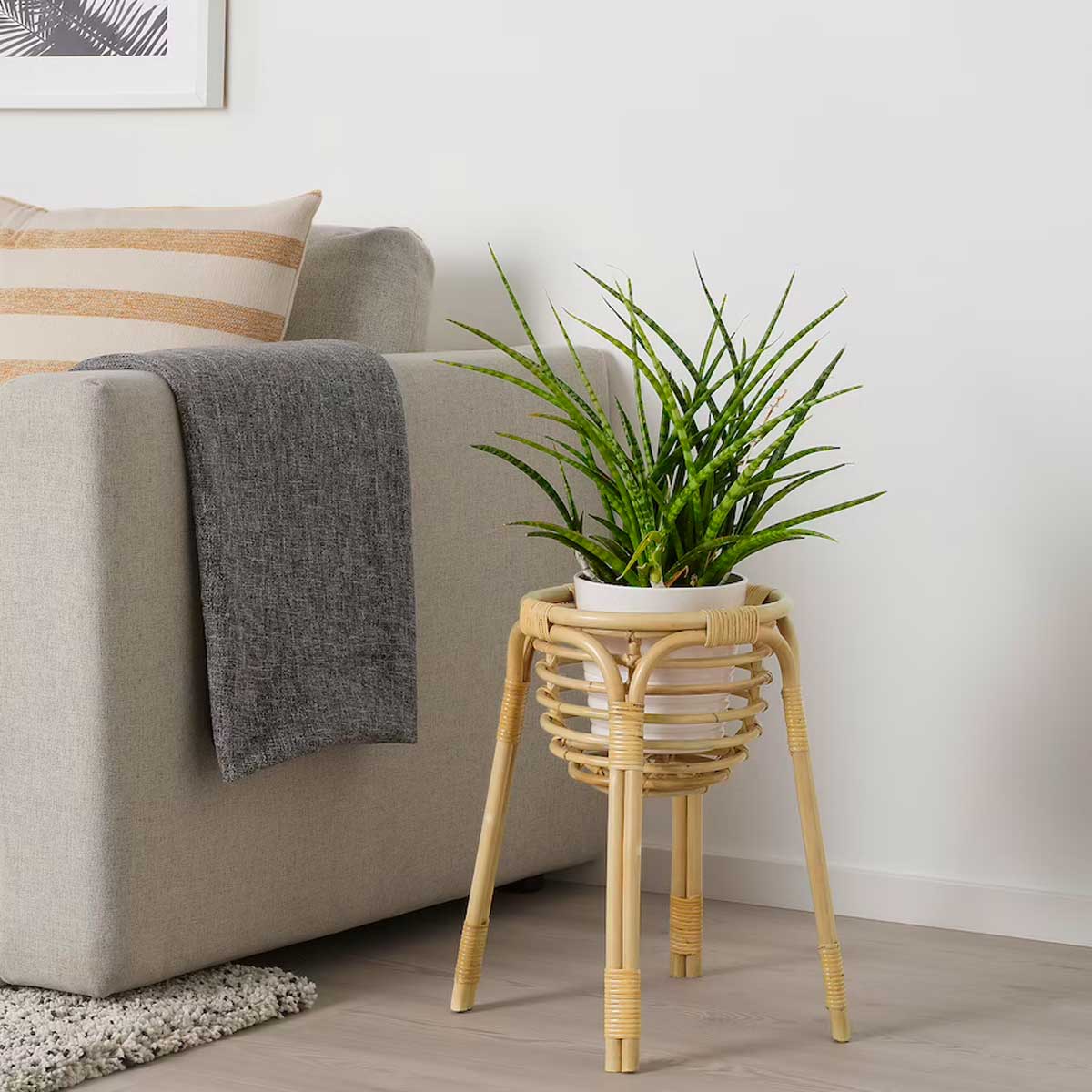 Buskbo plant stand rattan – Beae